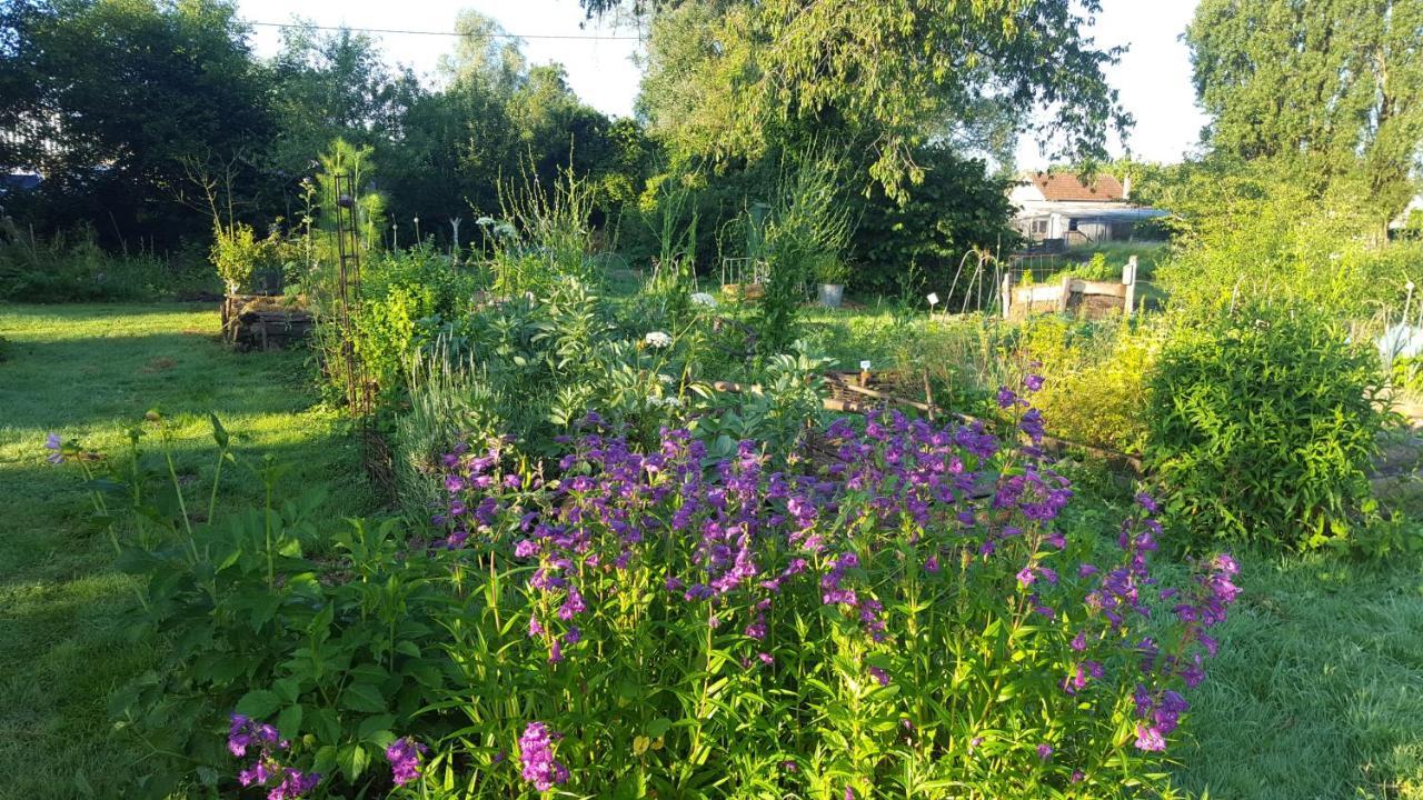 Chambre D'Hotes A La Campagne Nevers Challuy 外观 照片