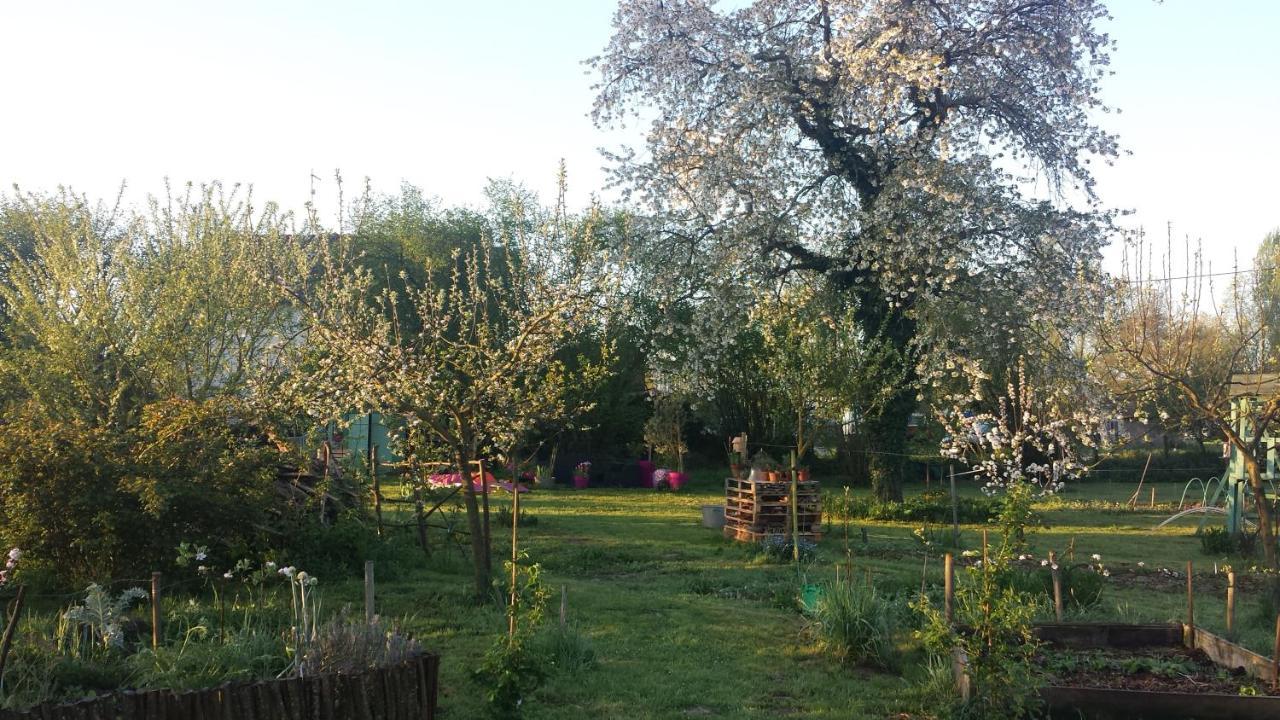 Chambre D'Hotes A La Campagne Nevers Challuy 外观 照片